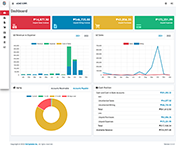 Accounting Software Dashboard